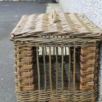 cat basket in green willow